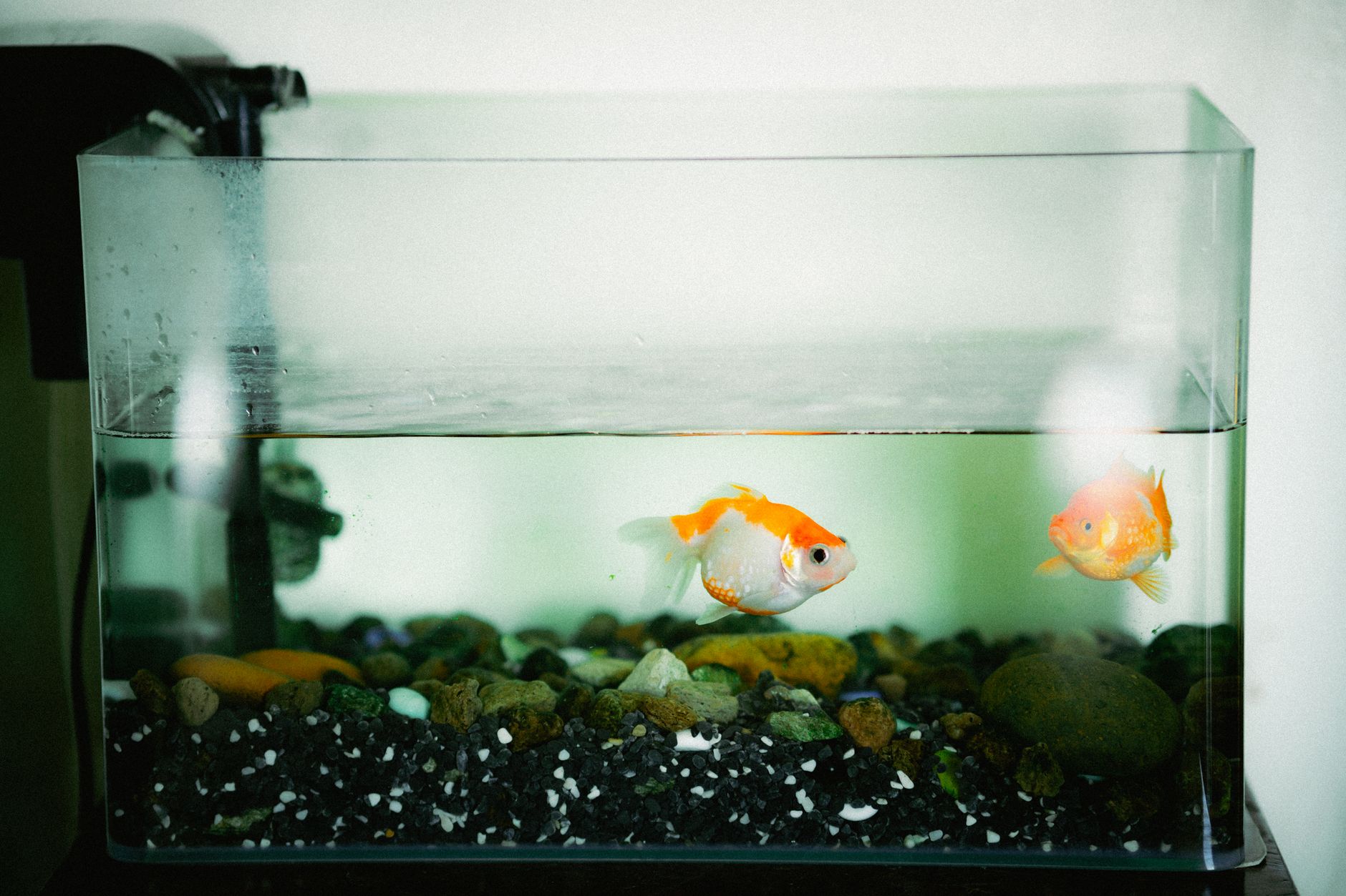 Vanjski filter za akvarije do 200 l