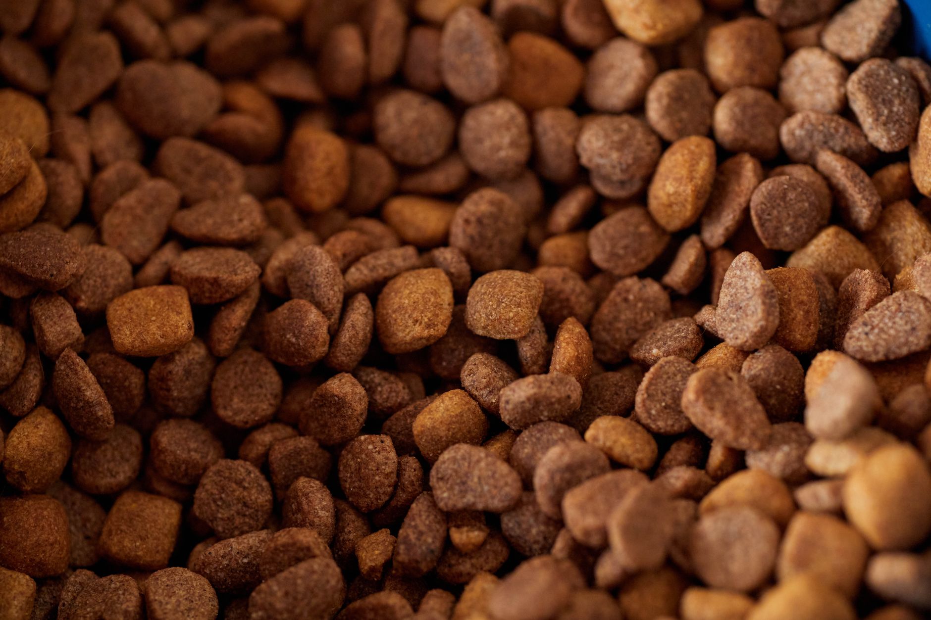 Premium granule za odrasle pse – piletina i riža, 12 kg